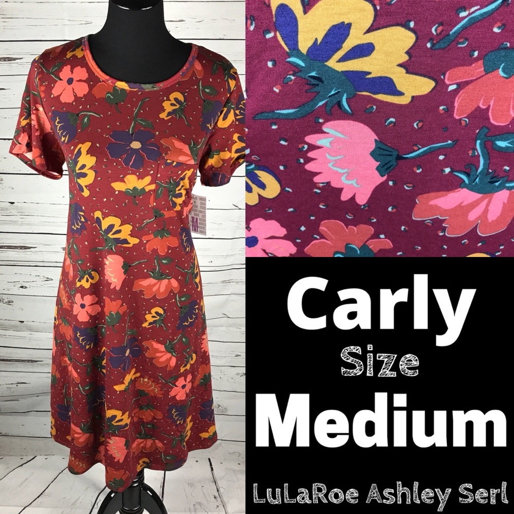 LuLaRoe Carly Swing Dress
